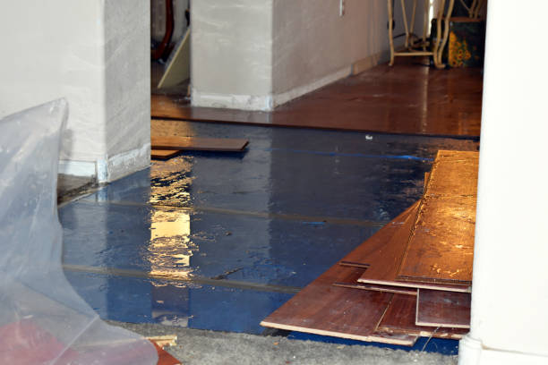 Professional Sewage Cleanup technician working in Lake George, MI
